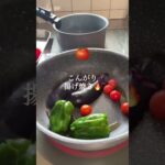 夏野菜レシピ【  夏×野菜 】