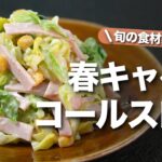 【キャベツレシピ】旬の甘くて柔らかい春キャベツで定番人気副菜コールスロー　甘みと塩味とさっぱりでお箸が止まらない！【今日のあと一品】【副菜レシピ】
