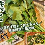 ペロッとなくなるご飯泥棒！葉物野菜(からし菜、小松菜、菜の花、葉大根、明日葉など)凄く旨い食べ方！簡単作り置き人気レシピ 健康常備菜