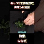 【簡単副菜】キャベツと塩昆布のしそ和えの作り方。#簡単レシピ #副菜レシピ #料理