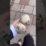 入社1日目はおにぎりと共に🍙#ズボラレシピ #ズボラ弁当 #ズボラ料理 #自炊記録 #自炊日記 #自炊 #おうちごはん #お弁当 #お弁当おかず #おかずレシピ #おにぎり