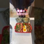 婚約中の彼へ捧ぐ❣️普通のお弁当🍙#料理 #主婦 #お弁当 #同棲ご飯 #25歳 #簡単レシピ #おにぎり #和風 #lunchbox #riceballs