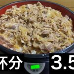 【大食い】牛丼3.5kg(10杯分)を100分以内に完食できるか？