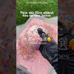 バズったスイーツ3選🥰|3 sweets recipes #ショート #shorts #ライフハック #lifehacks #簡単レシピ