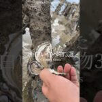 バズった面白いスイーツ3選🥰｜3 sweetsrecipes #ショート #shorts #ライフハック #lifehacks #簡単レシピ