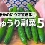 【簡単】悩んだらコレ！ごはんが進むきゅうりレシピ5選