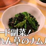 スピード副菜!ほうれん草のナムル【きちんとキッチンbydaiei】