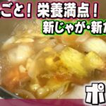 野菜丸ごと摂るならコレで決まり！「ポトフ」/家庭料理/かんたんレシピ/時短/節約/料理風景/毎日一品/japanese home cooking vlog