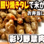 タレが旨い！お弁当の定番おかず「アスパラ人参豚肉巻き」/家庭料理/かんたんレシピ/時短/節約/料理風景/毎日一品/japanese home cooking vlog