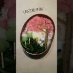 【弁当日記】お花見弁当#お弁当#お花見#弁当レシピ#shorts