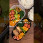 今日とて、詰めていきます🍱 #shorts#asmr#お弁当#お弁当詰め方#料理動画#料理asmr#レシピ