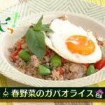 【サタナビっ！】ウチメシ。『春野菜のガパオライス』