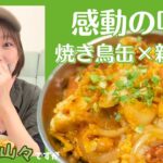 【感動の味!簡単レシピ】めんつゆだけで味付けばっちり親子丼!秘訣は「焼き鳥缶」を使うこと