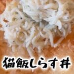 猫飯しらす丼　レシピ動画