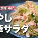 【もやしレシピ】節約食材でやみつき副菜♪サッパリいくらでも食べられるもやしの中華風サラダ【今日のあと一品】【副菜レシピ】【節約レシピ】