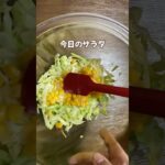 簡単野菜サラダ／蒸しキャベツ／ツナコーン／節約レシピ