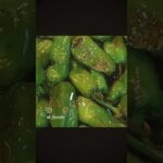 #獅子唐#青唐辛子#麺つゆ#簡単レシピ