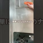 簡単にんじんのナムル／お弁当のおかず／副菜／節約レシピ