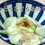 かぶレシピ【とろろするめのサラダ】時短で簡単美味しい副菜レシピ019珍味
