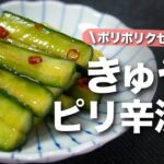 【きゅうりレシピ】簡単1品◎ポリポリ食感とピリ辛で最高にやみつき◎きゅうりのピリ辛漬け【今日のあと一品】【副菜レシピ】