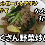 【簡単時短レシピ】肉たくさん野菜炒め 1型糖尿病ママが作る簡単レシピ 血糖コントロールしやすいおかず