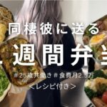 【食費月2.5万】真似するだけ簡単毎日お弁当/レシピ付き