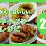 【春キャベツレシピ20選】やわらかくて甘い！春に食べたい♪主菜や副菜にピッタリ｜macaroni（マカロニ）