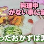簡単お弁当のおかず【たまごがない!】時のレシピ215