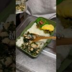 【26歳彼氏弁当】超簡単!鶏そぼろ弁当 #簡単レシピ #お弁当 #shorts