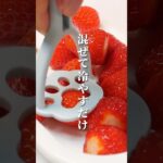 【材料3つ】超簡単！ストロベリーシャーベット　#レシピ #スイーツ #asmr