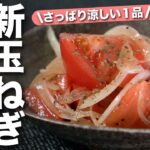 【新玉ねぎトマト】5分で出来上がり♪スッキリ美味しいトマトと新玉ねぎのさっぱり和え【今日のあと一品】【副菜レシピ】