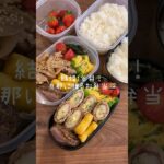 GW後半も詰めてくよ!🍱#shorts#asmr#お弁当#お弁当詰め方#料理動画#料理asmr#レシピ