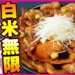 【完成度高し】スタミナ豚丼に歓喜せよ！香ばしく柔らかい味に胃袋をガツンと喰らえ！！！【VTuber 料理/紫桃あのん】
