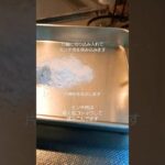 簡単お弁当おかずミンちくわ #お弁当記録 #毎日弁当 #お弁当おかず #shorts #簡単レシピ