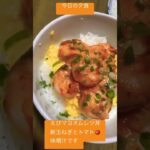 今日はえびマヨオムレツ丼にしました🍽️レシピ本見て作りました