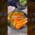 ヘルシー最強レシピ甘辛漬けささみ丼