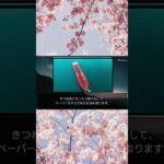 1分でわかる美味しい野菜の天ぷらの作り方の手順