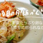 【とある日の夕飯作り】野菜たっぷり卵なし炒飯！　娘に怒られたり春野菜を愛でたり