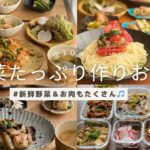 【野菜たっぷり作り置き】【本編＆概要欄にレシピあり】【全１０品】