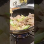 塩ネギ豚丼#ひとりごはん #簡単レシピ #簡単男飯 #男子ごはん #男子ご飯 #料理