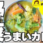 【節約】安い冷凍野菜ミックスでかんたん！毎日食べたい野菜たっぷりカレー『サンバル』の作り方