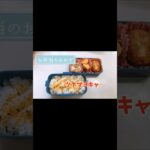簡単お弁当のおかず／ツナマヨきゃべつ／春キャベツ／節約レシピ