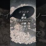 【誰でも簡単】【節約メイン】絶品もやし炒め！#もやし #簡単料理 #節約レシピ #家庭料理 #中華料理