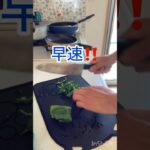 5月に植えた野菜‼️初ピーマン🫑収穫❣️簡単レシピ🫑作ってみた❣️#家庭菜園 #収穫 #簡単レシピ#家庭菜園 #アラフォー