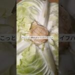 ちょこっと役立つ！キャベツライフハック！ #ライフハック #料理 #レシピ #野菜 #shorts
