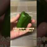 ピーマンとジオードを間違えてるやつ #ライフハック #料理 #野菜 #雑学 #shorts