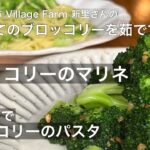 野菜料理の店が教える「ブロッコリーのマリネとアレンジパスタ」