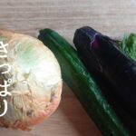 【きゅうりなすレシピ】無限夏野菜(^_^)暑い日に食べたい！夏バテ知らず