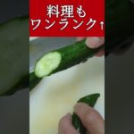 #冷やし中華 #きゅうり #トゲトゲの新鮮野菜#極上レシピ