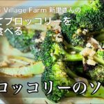 野菜料理の店が教える「ブロッコリーのソテー」
